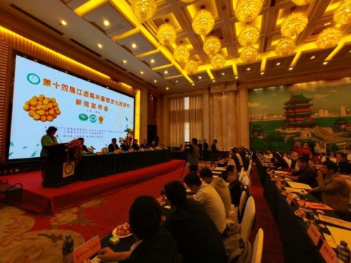 南丰蜜桔——承载中国文化的千岁贡品 