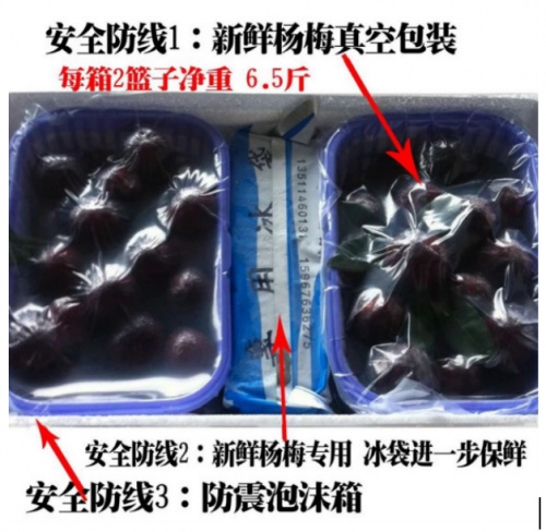 仙居杨梅什么时候上市？6月中旬采摘正当时