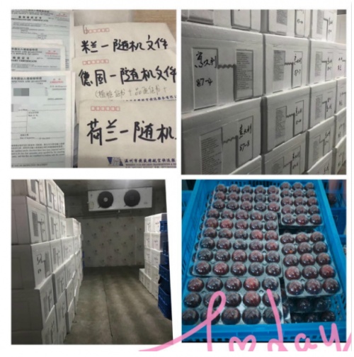 仙居杨梅什么时候上市？6月中旬采摘正当时