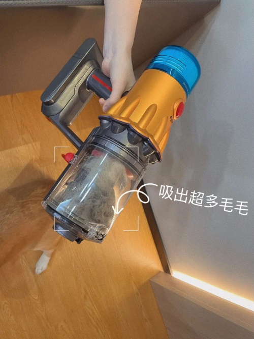 硬要养宠物的小孩最后都变成什么样了?(图5) 硬要养宠物的小孩最后都变成什么样了?