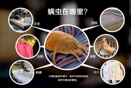 清鼻堂：孩子过敏性鼻炎反复发作？家里这些东西一定要换！