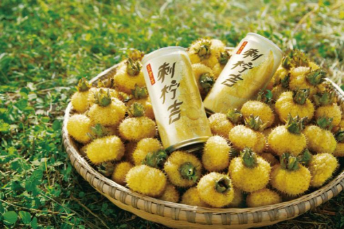 白云山助力乡村振兴!王老吉主题游轮启航(图4)