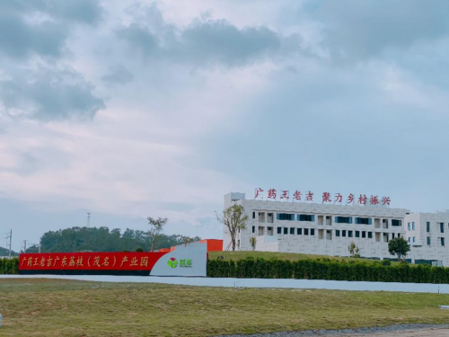 白云山助力乡村振兴!王老吉主题游轮启航(图6)