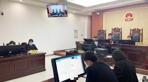 小鱼易连云视频,按下智慧法院“快捷键”(图2)