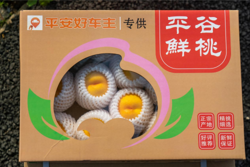 乡村观察员系列报道｜打造新时代“桃花源”——江米洞村产业振兴纪实