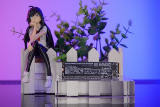 强强合作!致态携手JDG剑指S12小组赛八强(图4) DSC06969