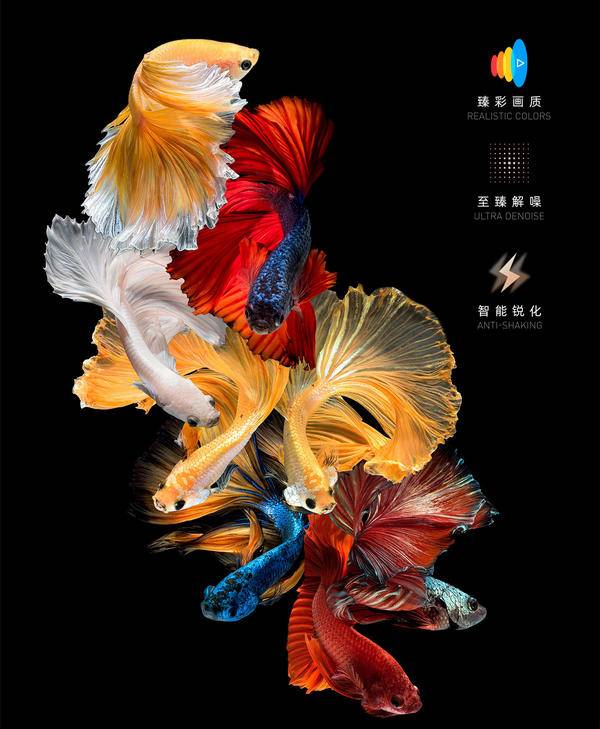 2022双11新品来了,当贝超短焦激光投影U1携24期免息福利首发(图7) 75|imageslim