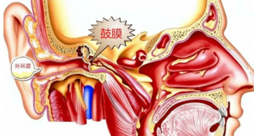 清鼻堂：鼻炎是根，中耳炎、咽喉炎是果，冤冤相报何时了？