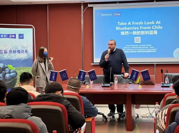 来自智利的蓝色风味,呈上当季宝藏味道与营养(图2) 图片1.jpg