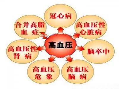 红曲，让高血压、高血脂与你无缘