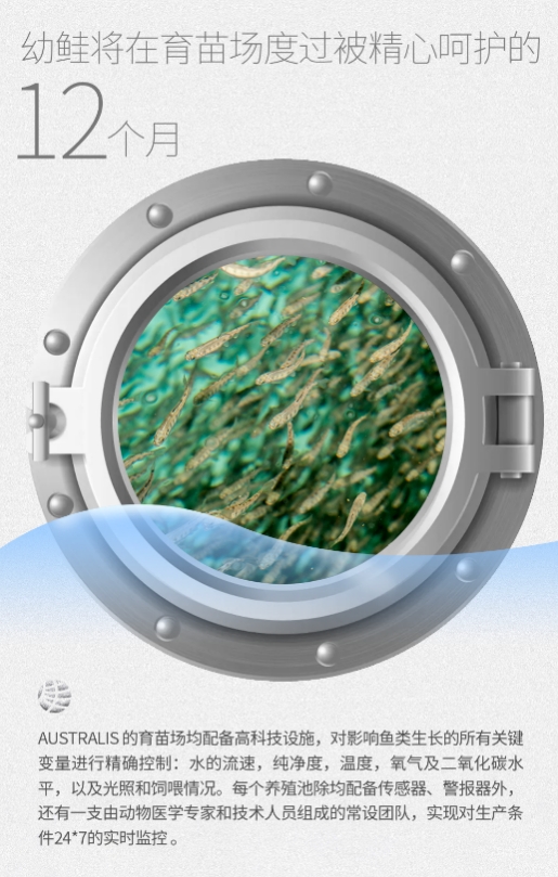 误差率不足3%,佳沃食品数智化养殖数清海里的三文鱼(图1)