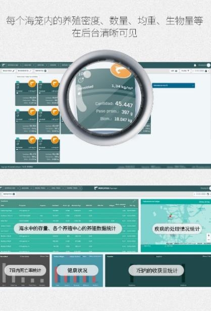 误差率不足3%,佳沃食品数智化养殖数清海里的三文鱼(图4)