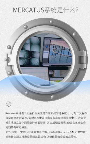 误差率不足3%,佳沃食品数智化养殖数清海里的三文鱼(图3)