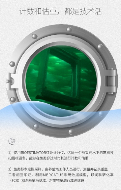误差率不足3%,佳沃食品数智化养殖数清海里的三文鱼(图2)