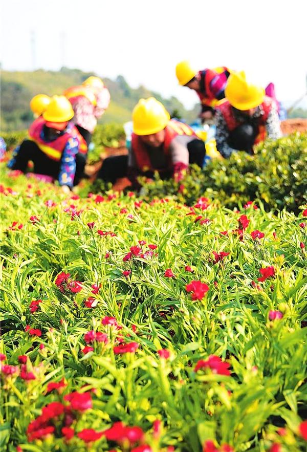 
                            湖南建投基础投相山公