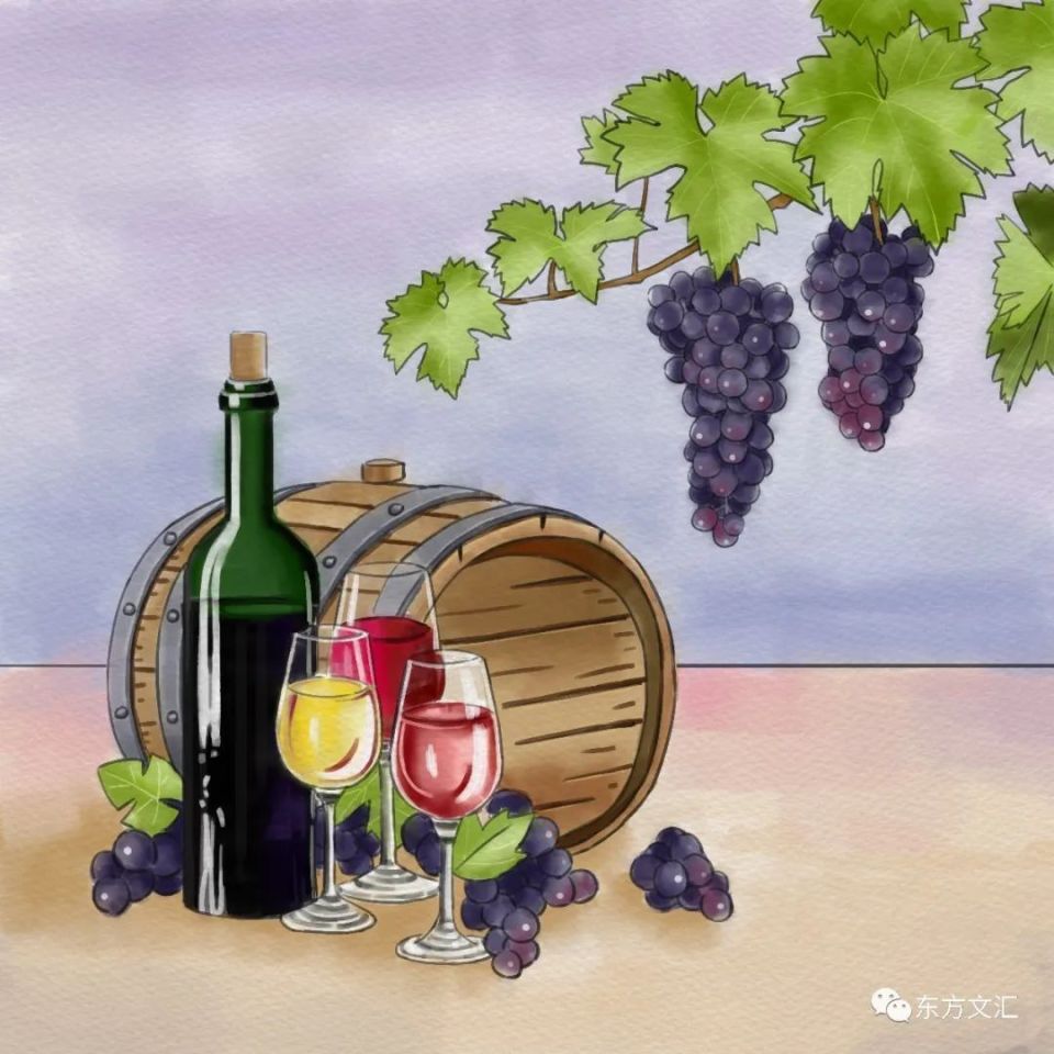 书讯|品酒师荆芳老师的《葡萄酒爱好者》图书推荐(图4)