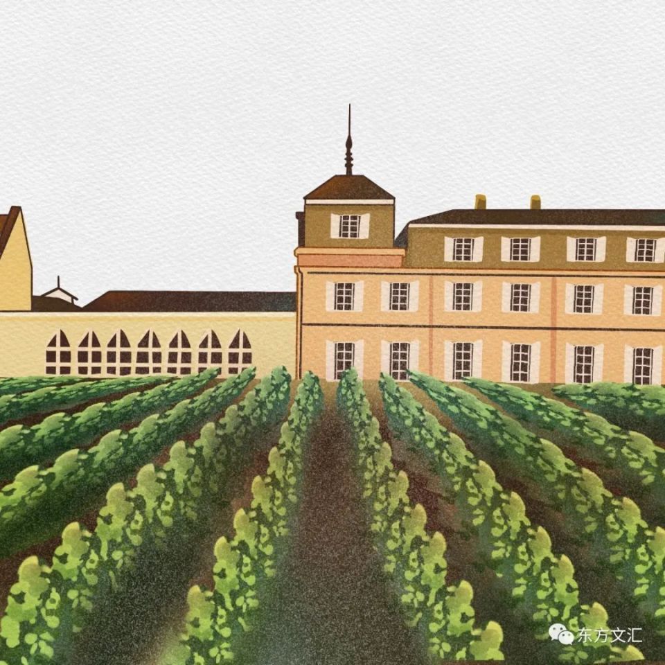 书讯|品酒师荆芳老师的《葡萄酒爱好者》图书推荐(图5)