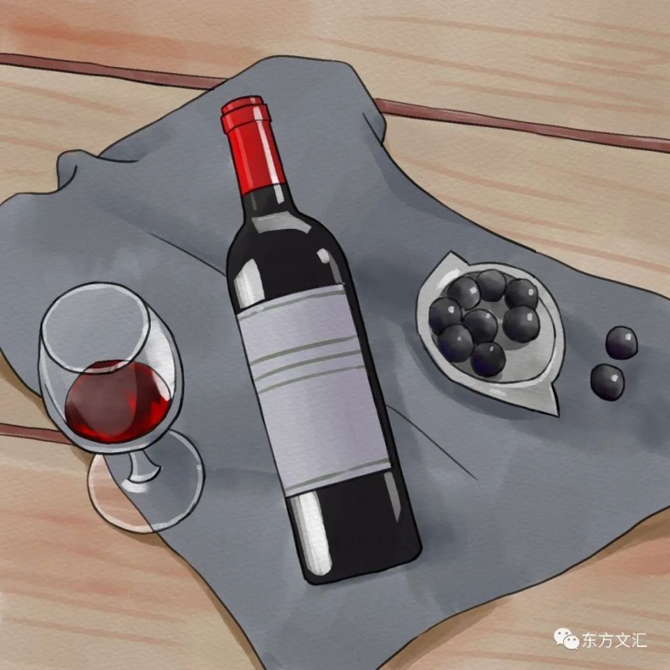 书讯|品酒师荆芳老师的《葡萄酒爱好者》图书推荐(图8)