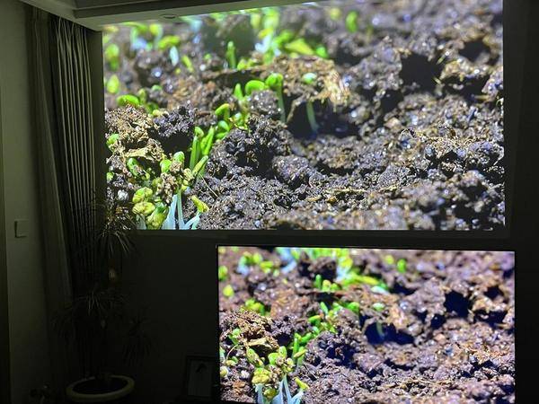 上课用投影仪对眼睛有伤害吗?缓解视力疲劳用当贝X5激光投影(图7) 75|imageslim