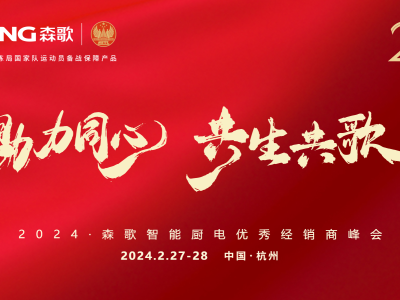 DeepWay深向积极融入合肥新能源汽车首位产业发展大局 ，智能新能源重卡量产将