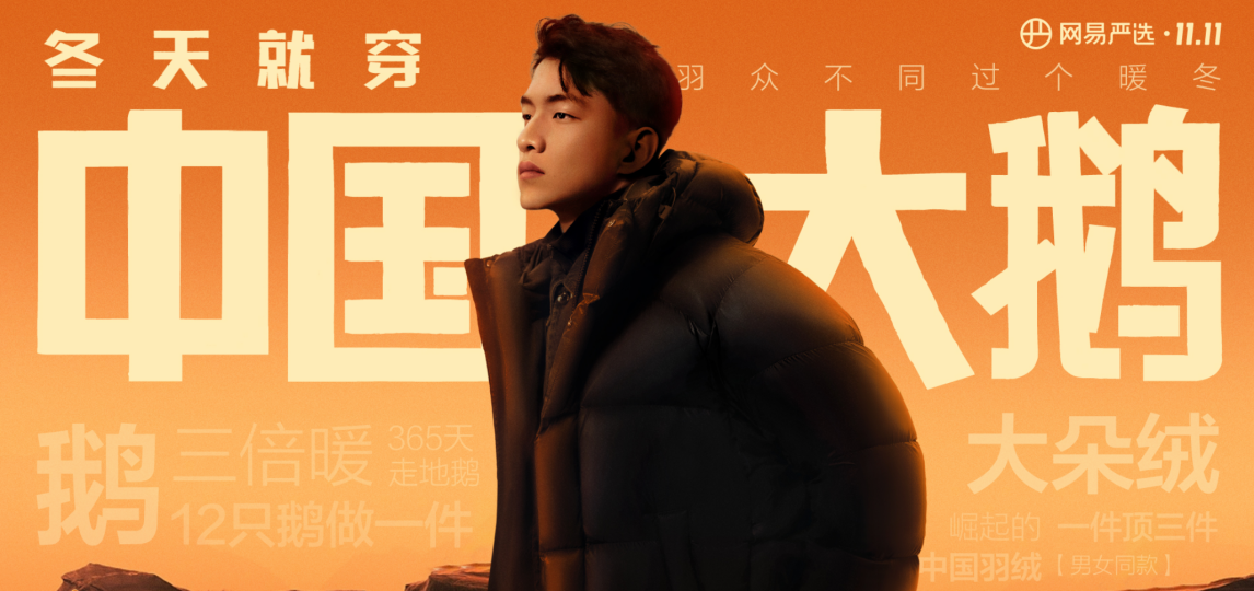 网易Q4及全年财报:网易严选聚焦战略成效斐然,多品类占稳头部(图3)