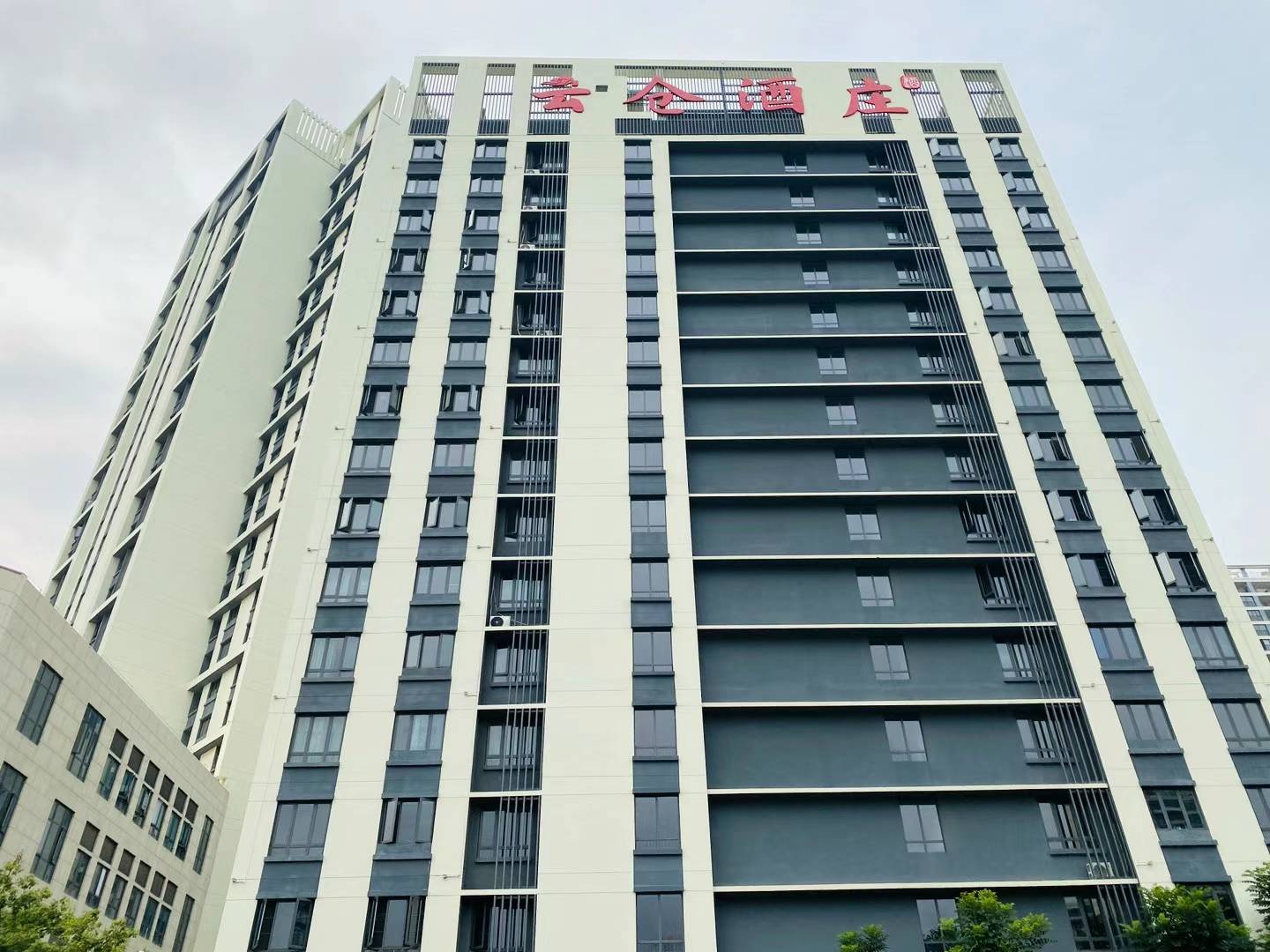 云仓酒庄深化专业培训，强化销售与品酒技艺