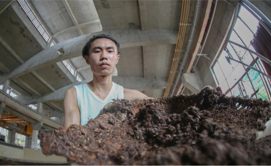 白酒认知革命：江小白怒怼东方甄选背后的酒业科普需求