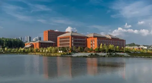十方教育：创业征程与回馈社会的力量