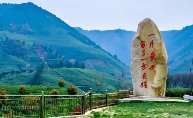 微信截图_20250627114748.png