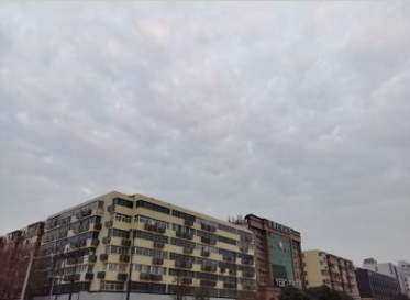 重磅！辽宁省商务厅上线RCEP公共服务平台
