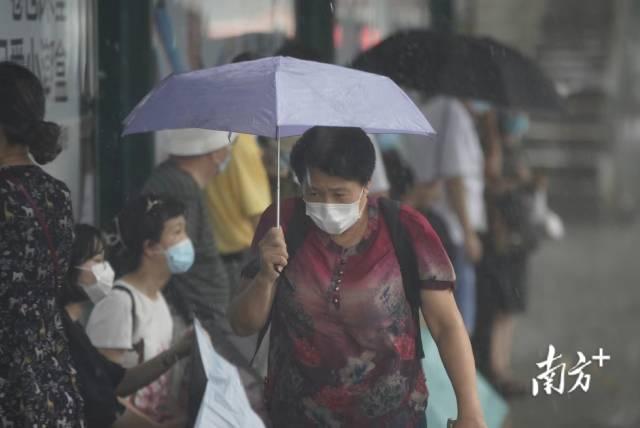 
		         台风+暴雨7月2日登陆！这份防御指南请收好
		  