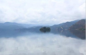 用手机就能办理企业登记业务！广西探索“企业全生命周期”新模式
