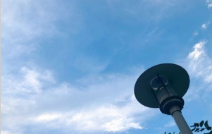 千万量级汽车消费券加持 槐荫区消费市场持续火热