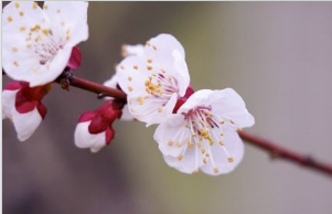重拳治理信用卡市场乱象！银保监会 央行发文要求规范息费收取