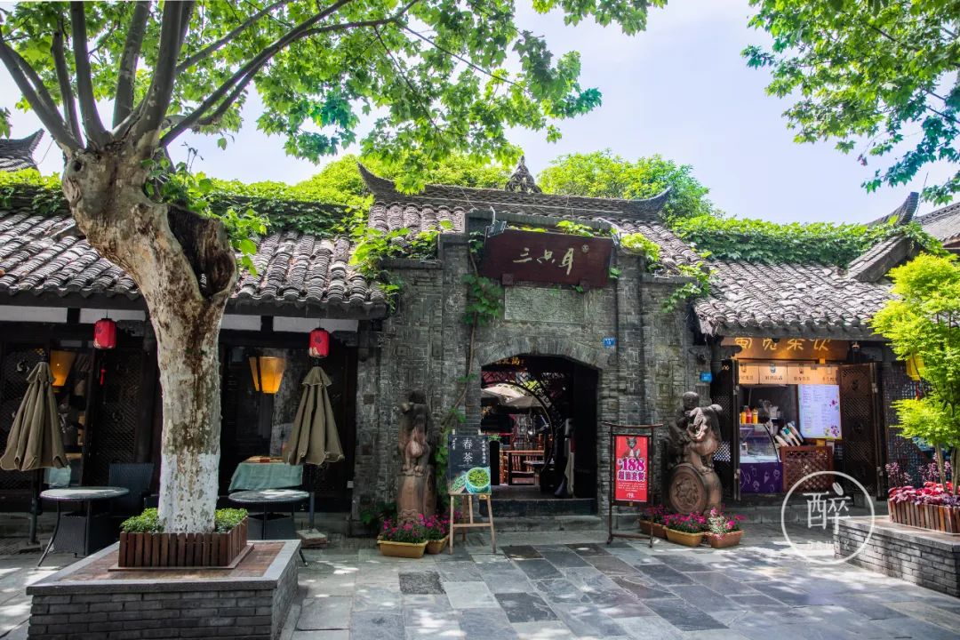 半个鱼头煮一锅，24年老店震撼了我