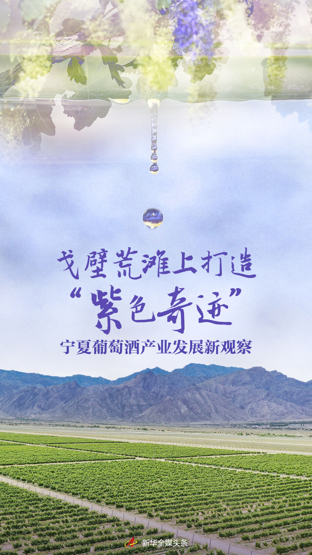 
                            戈壁荒滩上打造“紫色
